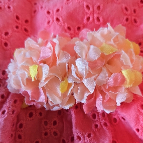 Toys R Us Koala Kids Peachy Mesh Sundress W/ Floral Embellishments Like New! 2T - Picture 8 of 10